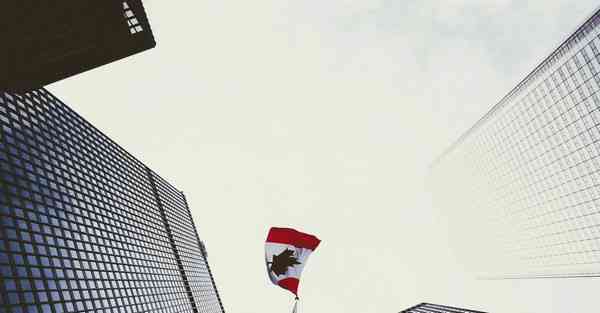 智能尘埃纳米机器人:科技与未来的奇迹