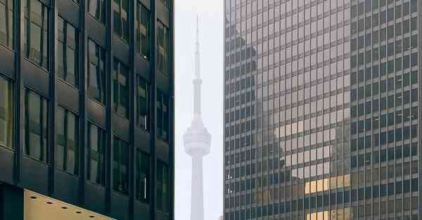 外国语单招大数据的行业文章