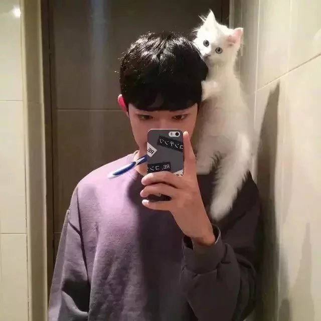 窦黛保怡