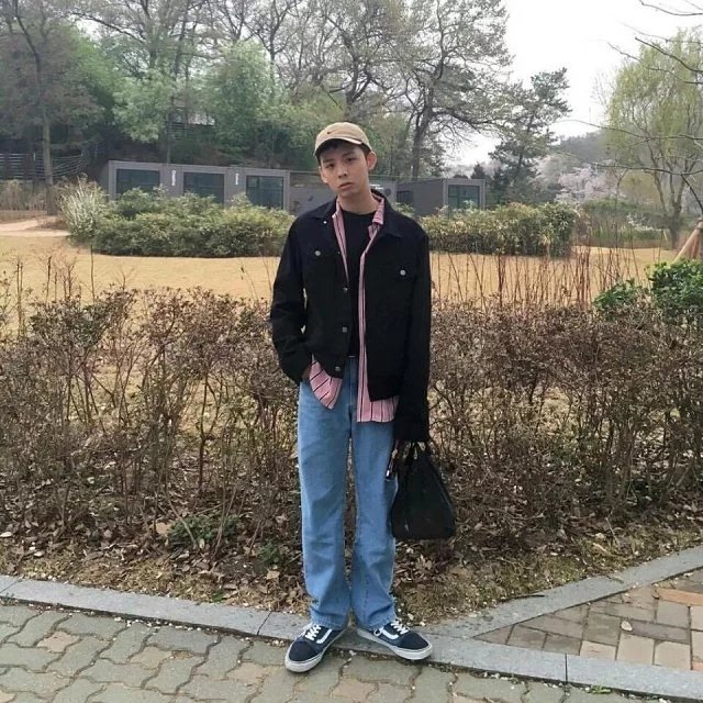 连树蕊龙