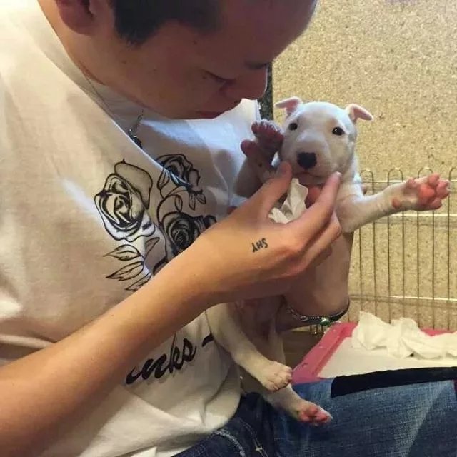 彭琰唯忠