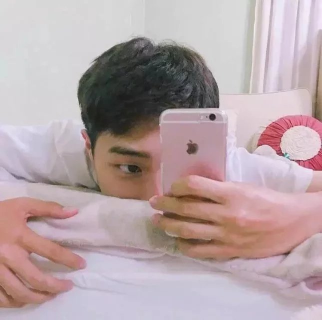 杭英菲红